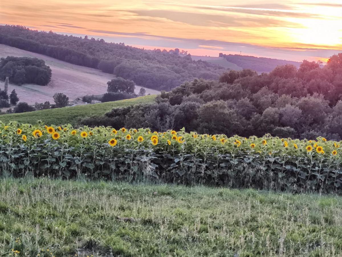 Les Hauts de Grazac Grazac  Extérieur photo
