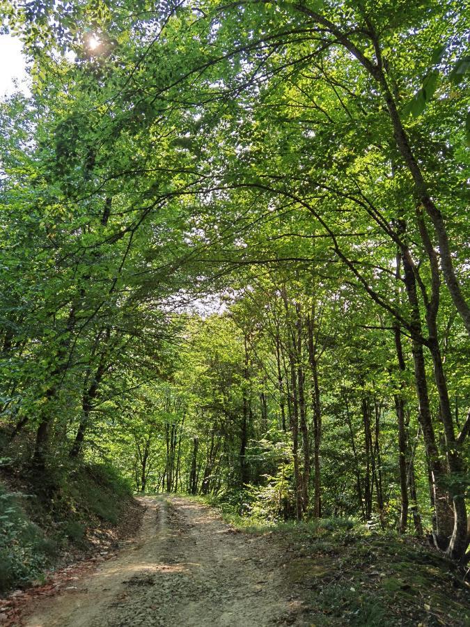 Les Hauts de Grazac Grazac  Extérieur photo